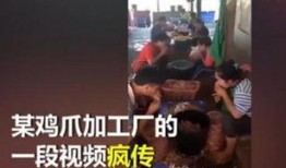 爆料鸡的视频,视频内容深度解析